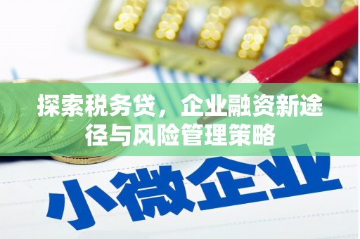 张北探索税务贷，企业融资新途径与风险管理策略