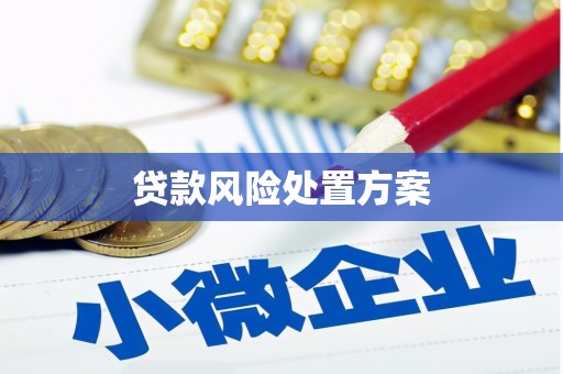 柯坪贷款风险处置方案