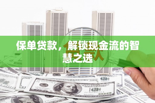 嵩县保单贷款，解锁现金流的智慧之选