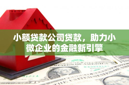 西港小额贷款公司贷款，助力小微企业的金融新引擎