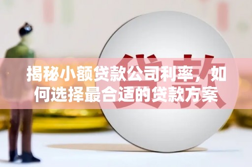 吉首揭秘小额贷款公司利率，如何选择最合适的贷款方案