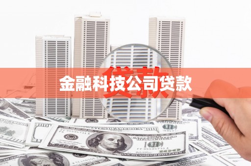 清新金融科技公司贷款