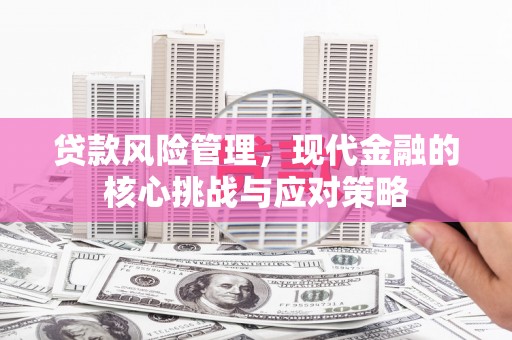 武隆贷款风险管理，现代金融的核心挑战与应对策略