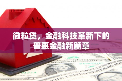靖远微粒贷，金融科技革新下的普惠金融新篇章