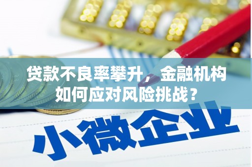 鄂托克旗贷款不良率攀升，金融机构如何应对风险挑战？
