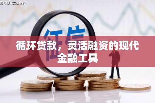 宁乡循环贷款，灵活融资的现代金融工具
