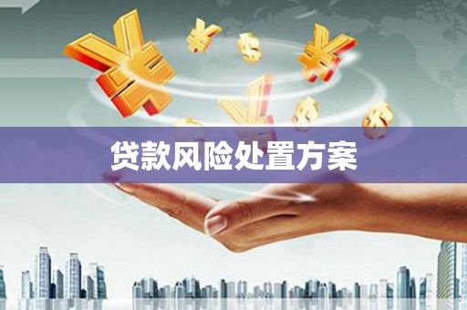 迎泽贷款风险处置方案