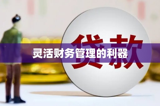 企石灵活财务管理的利器