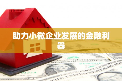 耒阳助力小微企业发展的金融利器