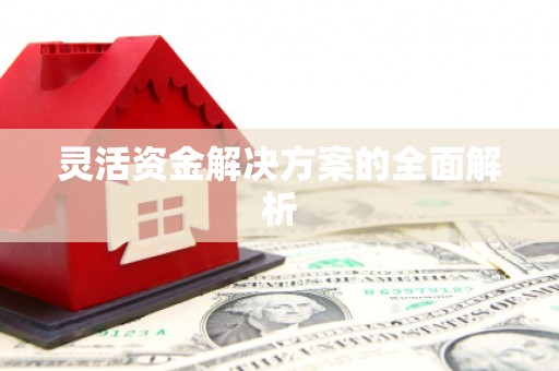 荆州灵活资金解决方案的全面解析